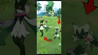 Horizons Pokemon Sprigatito Evolve Floragato and Meowscarada in Pokemon Go #pokemonevolution #shorts
