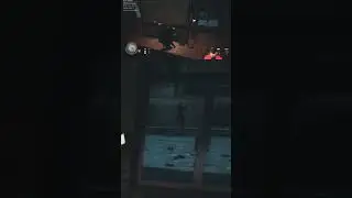What happened - SOD 2 Funny Glitch