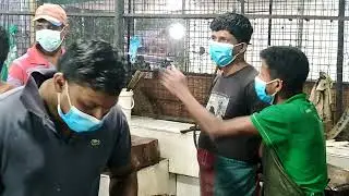 Fast Workers 2022 Amazing Fish Cutting Skill