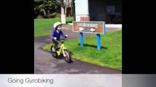 Gyrobike's Gyrowheel