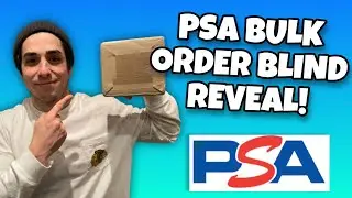 PSA Bulk Submission Blind Reveal! How Did We Do? 🤔