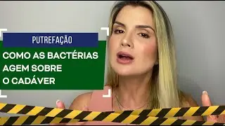 Putrefa&ccedil;&atilde;o: como as bact&eacute;rias agem sobre o cad&aacute;ver