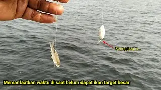 ASLI GACOR..Pakai umpan ini asal mau ikan kaya gini..! MANCING BAGAN TERBARU BAGAN PERTAMINA 