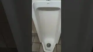 Kohler Branham Toilet at Sam's Club