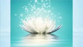 Unity Meditation: Live the Truth by Rev. Jan Mourning, September 8, 2024
