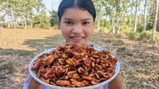 Deep Fried Small Shrimp Recipe / Easy Crispy River Shrimp Cooking / Frying Crunchy Shrimp
