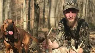 The Dillan Hall buck Recovery #Dallasthebloodhound Millers Deer Recovery Services (615-485-1959)