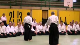 JODAN TSUKI SANKYO URA ENTERING