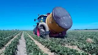 Farma Drahoš - Jahody 2019