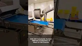 HydroShpriz Automatic System: SAS200 Efficient Meat and Fish sticks Snack Production from Ukraine