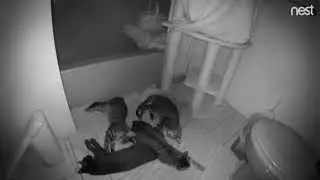 Synchronized Sleeping &copy;RobinAFOlson