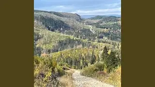 Dusty Road