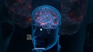 Unlocking the Mind: 5 Fascinating Insights into the Human Brain 🧠 #facts