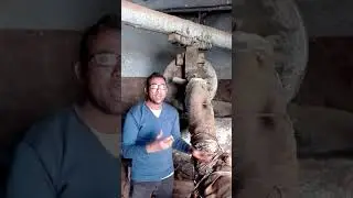 معصرة الزيوت بمدينة اسنا جنوب الاقصر