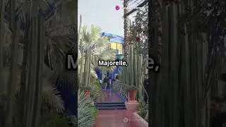 Explore Marrakech in 60 Seconds:#MarrakechFacts #JemaaElFnaa #Bahia #ExploreMarrakech #MoroccoFacts