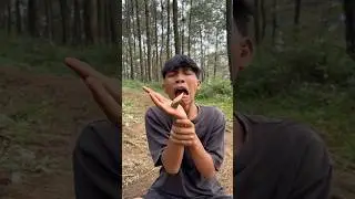 Survival DIY: tips to save your hands from thorns! #camping #survival #bushcraft #outdoors