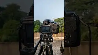 Wildlife Nikon 📷 Photography #india #birds #trending #nikon #camera #photography #shorts #reels