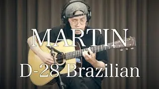 Martin D-28 Brazilian / Sound Sample by JoiL
