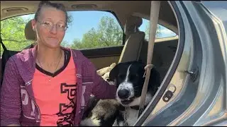 Ogden Utah Dog Training | Salt Lake City Dog Training | &ldquo;Reach out and give them a call