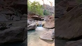 Zion National Park #adventure #travel #outdoor #recreation