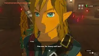 Team Cece or Team Reede Side Adventure Guide - The Legend of Zelda TOTK