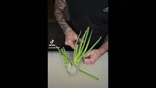 Green Onion Hack!