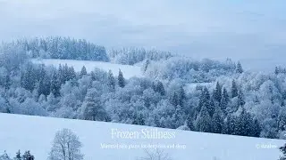 Чистое фортепиано для глубокого сна | Frozen Stillness