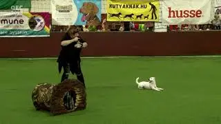 Dog Dancing European Championship 2023 Hungary - Freestyle Qualification   Anna Balaklijec & Nicole