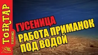 Работа приманок под водой. Модель 