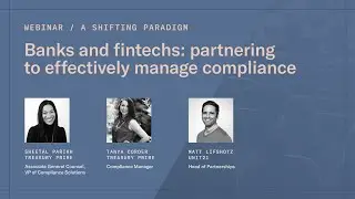 Transaction Monitoring: Bridging the Gap between Innovation and Regulation