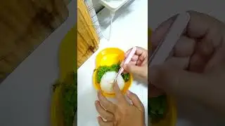 Bento Totoro