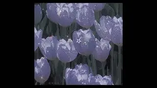 Purple aesthetic #aesthetic #colors #pretty #purple #soft #cute