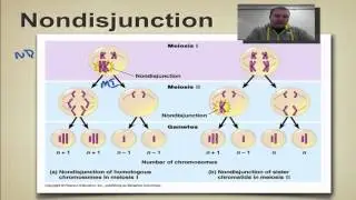 Chapter 14 Part 10 - Nondisjunction