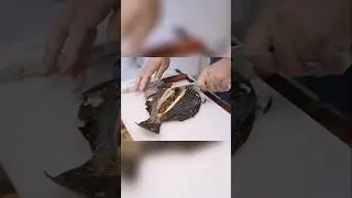 Catch and Cook Fluke From Shore #fluke #shore