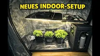 Neues Indoor-Pflanzen-Setup 2026 | LED-Beleuchtung & Schrank im &Uuml;berblick