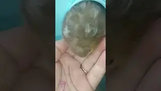 https://www.youtube.com/@xomka_27