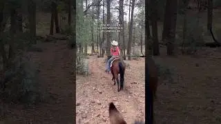 i 🫶🏽 western life #horseriding #westernstyle #westernlifestyle #trailride #dreamjob #relatable