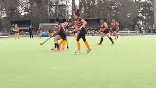 zurys vs Lions