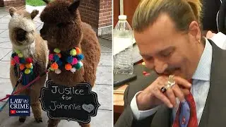 What's Up with Johnny Depp and Alpacas at the Courthouse? (Sidebar Podcast EP. 16)