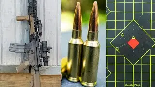6 ARC Gas Gun: Anti Precision