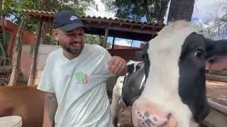 BRUNO FABIL PLANETA NOVO, ATACADO PELOS BOIS DA FAZENDINHA!