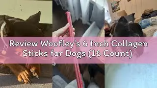 Review Woofley's 6 Inch Collagen Sticks for Dogs (16 Count) Bully Stick Rawhide Alternative Dog Chew