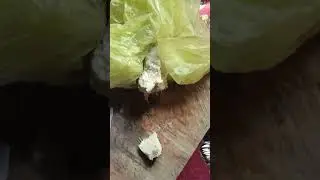 White Ambergris  Testing