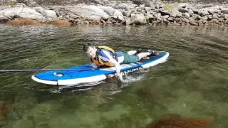 Prone Paddling and Self Rescue on a Stand Up Paddle Board