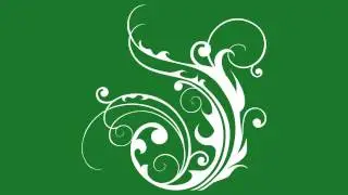 Flourish Flower on Green Screen 13