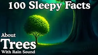 The Most Relaxing Facts About Trees to Fall Asleep To