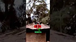 What is the DNA mix of Kikuyu of Kenya? #dna