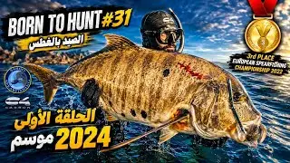 Red SEA Part 1 : Trevally, YellowBar and a Parrot fish, Born To Hunt #31 #C4 Team