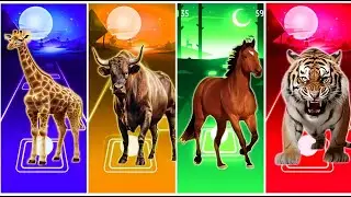 Tiles Hop - Giraffe 🆚 Buffalo 🆚 Horse 🆚 Tiger 🎶 Tiles Hop EDM Rush