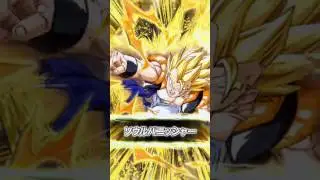 Mono Hero Team VS Super Gogeta Super 2 | Dokkan Battle |